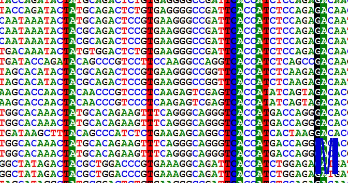 m-sekvence_imunoglobulin1_web-1200x630-3051899301.jpg