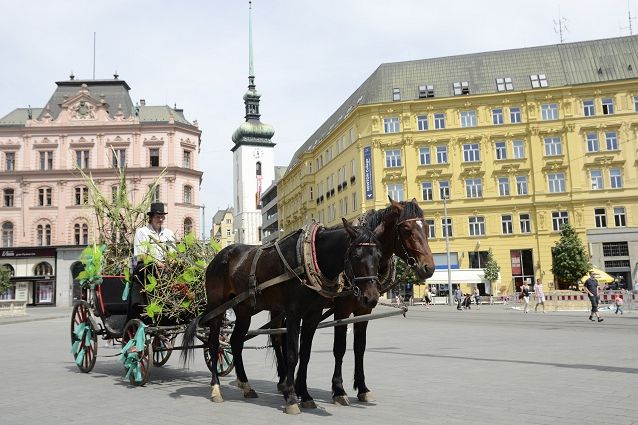  Majálesové veselí začalo v pátek už dopoledne na náměstí Svobody shozením májky a průvodem kandidátů na krále Majálesu. Foto: David Povolný.