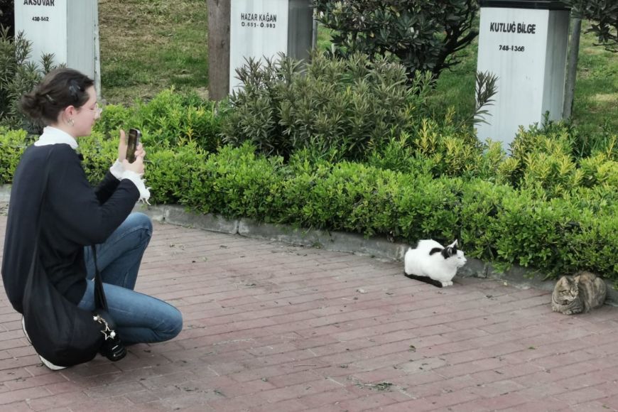 Foto: archiv studentky Studentka Renata Sasková fotografuje kočky žijící v ulicích města.