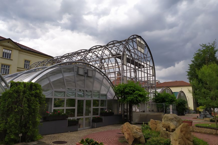 Rekonstrukce palmového skleníku v botanické zahradě. 