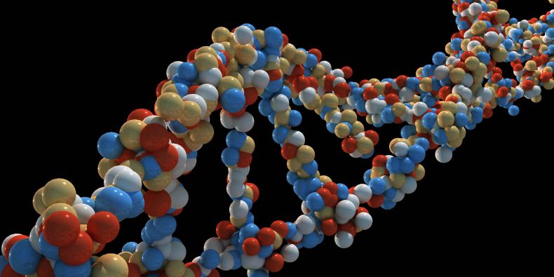 Model DNA.