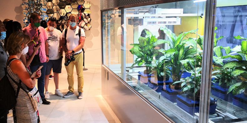 Moderní linka, která rozumí řeči rostlin, na světové výstavě EXPO v Dubaji.