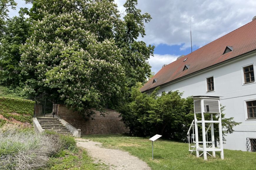 Foto: Hana Hložková Mendel založil v areálu Augustiniánského opatství a farnosti na Starém Brně mimo jiné i meteorologickou stanici.