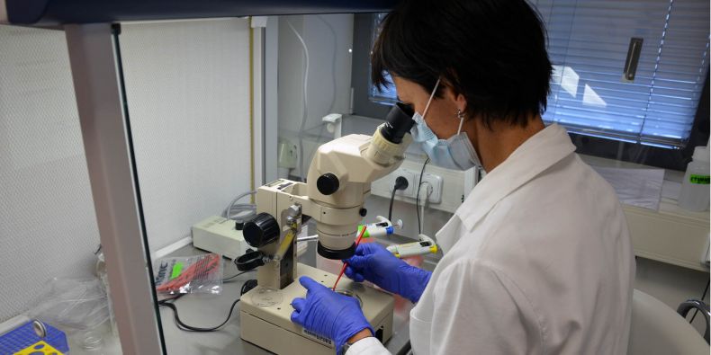 Laboratoře ústavu histologie a embryologie. 