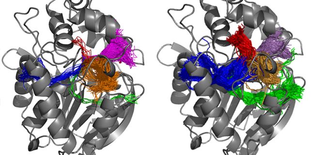 Protein s tunely spočítanými softwarem CAVER 3.0.