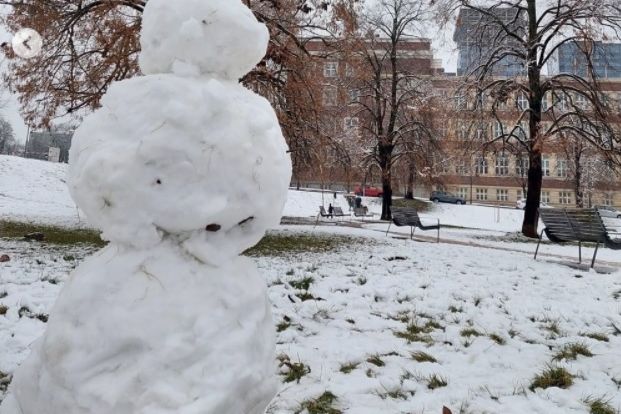 Sněhulák v parku u právnické fakulty. 