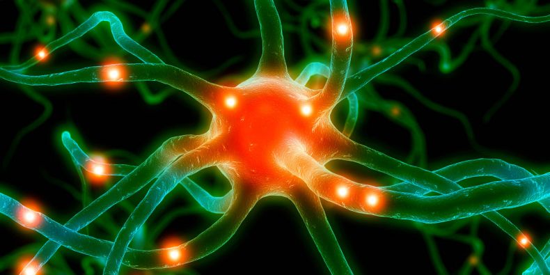 Neuron.