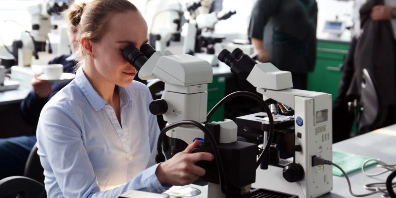 Ve třech pavilonech se nachází laboratoře a učebny pro praktickou výuku s více než 80 moderními mikroskopy.