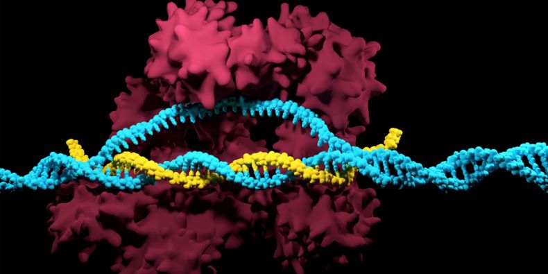 Vizualizace úpravy genomu pomocí metody CRISPR-Cas9.
