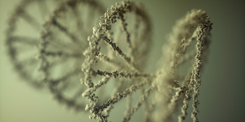 Vizualizace DNA.