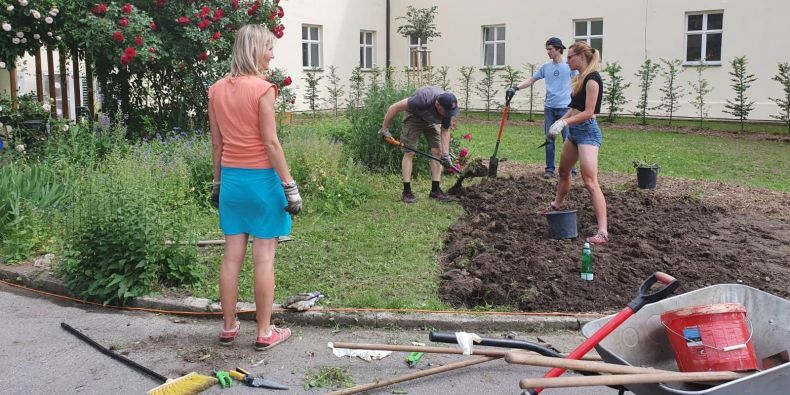 Během jednoho dne zaměstnanci univerzity v zahradě hospicu posekali trávu, vypleli záhony a vysadili sazenice.