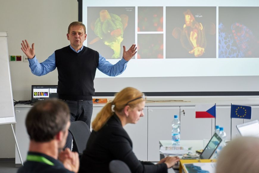 Karel Říha, deputy director for research at CEITEC and the head of the Plant Molecular Biology research group.