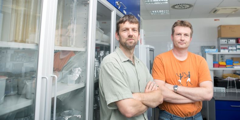 Lumír Krejčí and Kamil Paruch.
