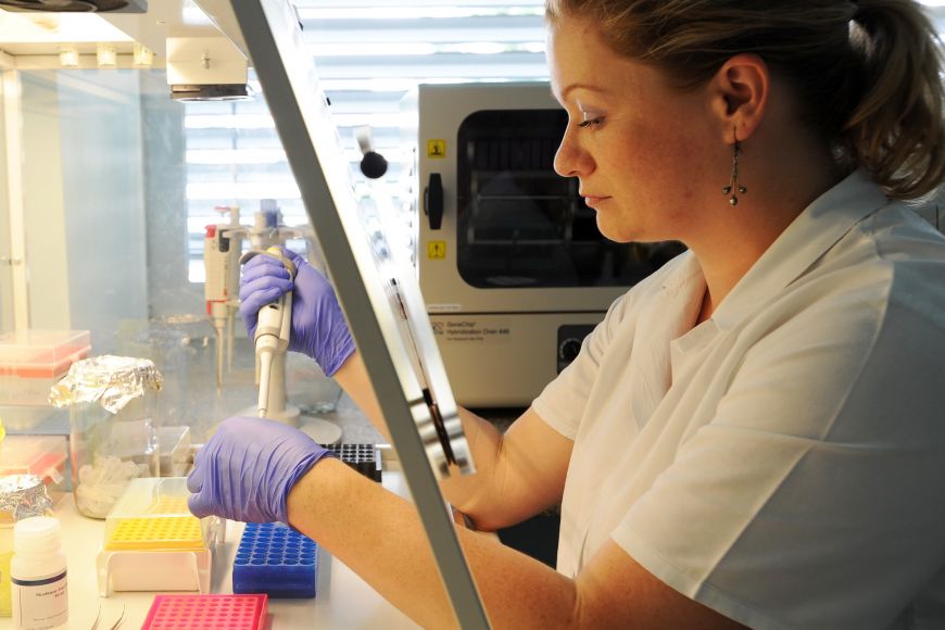 Brno se vedle řady IT firem chlubí taky špičkovým biomedicínským výzkumným zázemím.