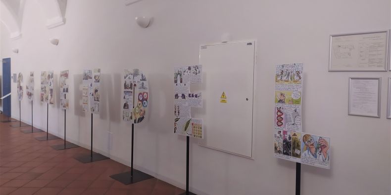 Komiksová výstava o G. J. Mendelovi v Univerzitním centru MU v Telči.