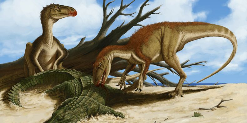 Popis moravského dinosaura se nyní chystá otisknout prestižní časopis Acta palaeontologica Polonica.