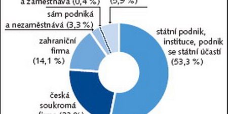 Jak je zřejmé z grafu, mírná většina absolventů pracuje ve státních firmách či institucích (zejména absolventi PdF, LF, PřF, FF a FSS), více než pětina působí v českých soukromých firmách (nejčastěji absolventi FI, PrF a ESF), jedna sedmina potom u zahraničních firem (nejvíce opět absolventi ESF a FI). Více než polovina dotázaných pracuje v jednom ze třech odvětví - ve školství, správě a zdravotnictví.