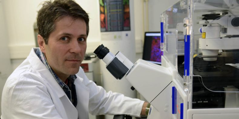 Vladimír Rotrekl pracuje v Biologickém ústavu Lékařské fakulty MU.