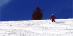 AnotaceSnowboard