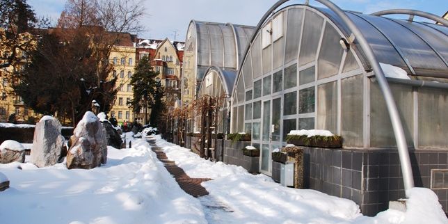 Na sněhu i bez sněhu, venku či vevnitř, aranž s kamarády i přirozené momentky. Jen jedna podmínka: Musí to být na některé z fakult MU. Foto: Martin Kopáček.