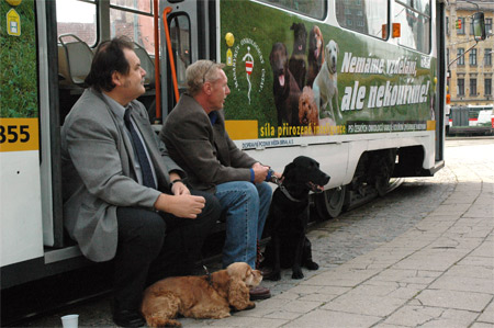 tramvaj tramvaj