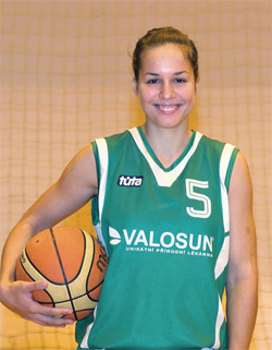 basket basket