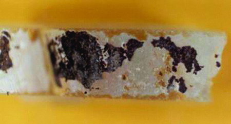 Jedním z příkladů aplikací plazmové tužky může být její použití při restaurování předmětů  kulturního dědictví. Snímek znázorňuje rozsah znečištění předmětu před čištěním. 