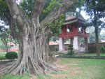 AnotaceVietnam AnotaceVietnam