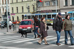 anotace_mesto_pro_pesi