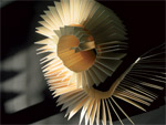 Image Image