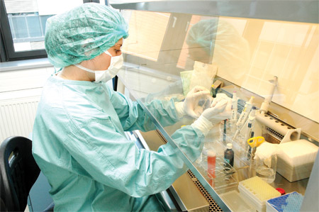 Terapie vyvinutá vědci Masarykovy univerzity může po transplantaci krvetvorných buněk zabránit reakci štěpu proti hostiteli. K té dochází až v padesáti procentech případů. Foto: David Povolný. Terapie vyvinutá vědci Masarykovy univerzity může po transplantaci krvetvorných buněk zabránit reakci štěpu proti hostiteli. K té dochází až v padesáti procentech případů. Foto: David Povolný.