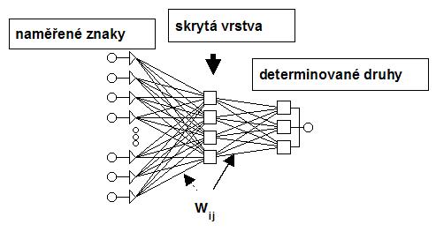 Schéma možné jednoduché architektury umělých neuronových síťí pro 3 druhy. Schéma možné jednoduché architektury umělých neuronových síťí pro 3 druhy.