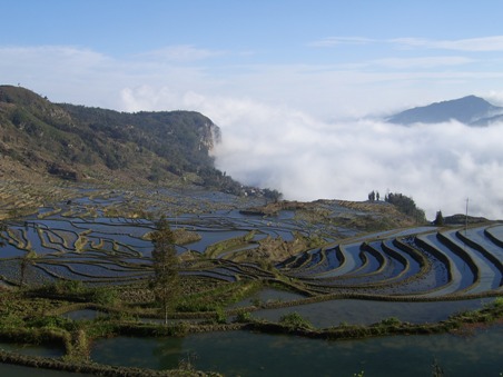 Terasovitá rýžová pole v jihočínské provincii Yuanyang. Vznikla před 2500 lety a postupně se rozšiřovala. Dnes se nachází ve výšce asi dva tisíce metrů. Foto: Dalibor Jenne.