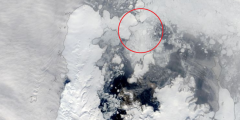 Mořský led nahromaděný v ústí průlivu Antarctic Sound (snímek z 25. února) zkomplikoval stažení expedičního týmu ze stanice Johanna Gregora Mendela.
